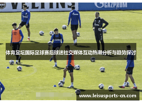 体育足坛国际足球赛后球迷社交媒体互动热潮分析与趋势探讨
