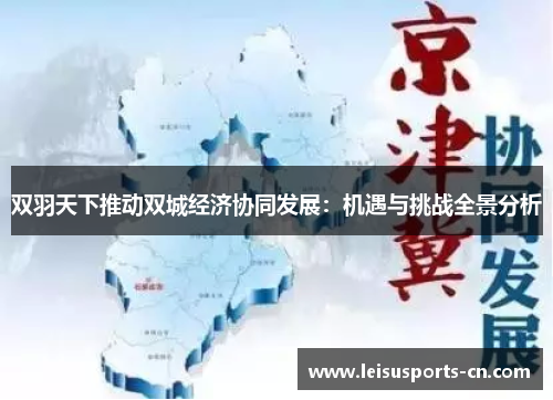 双羽天下推动双城经济协同发展：机遇与挑战全景分析