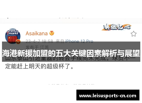 海港新援加盟的五大关键因素解析与展望