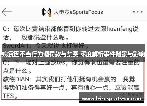 魏震因不当行为遭罚款与禁赛 深度解析事件背景与影响